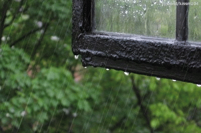 rain-gif-animated-window