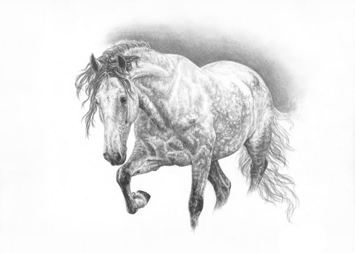 sketch_cavalo_sem_patas