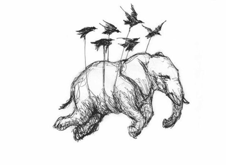 sketch_elefante e passaros.jpg