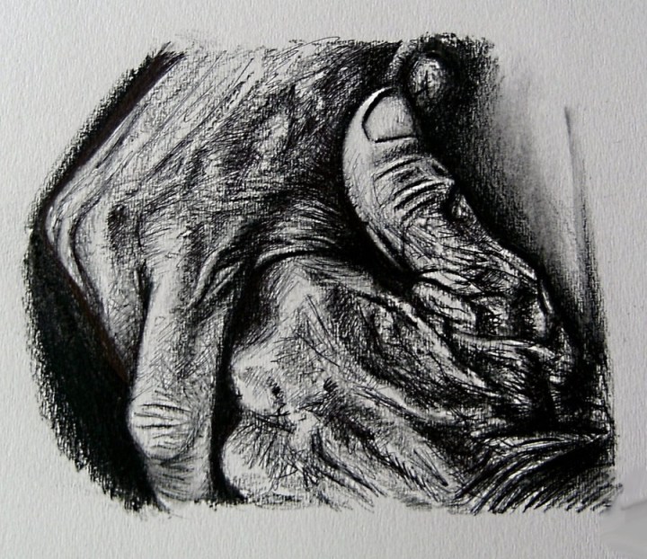 sketch_hands_charcoal.jpg