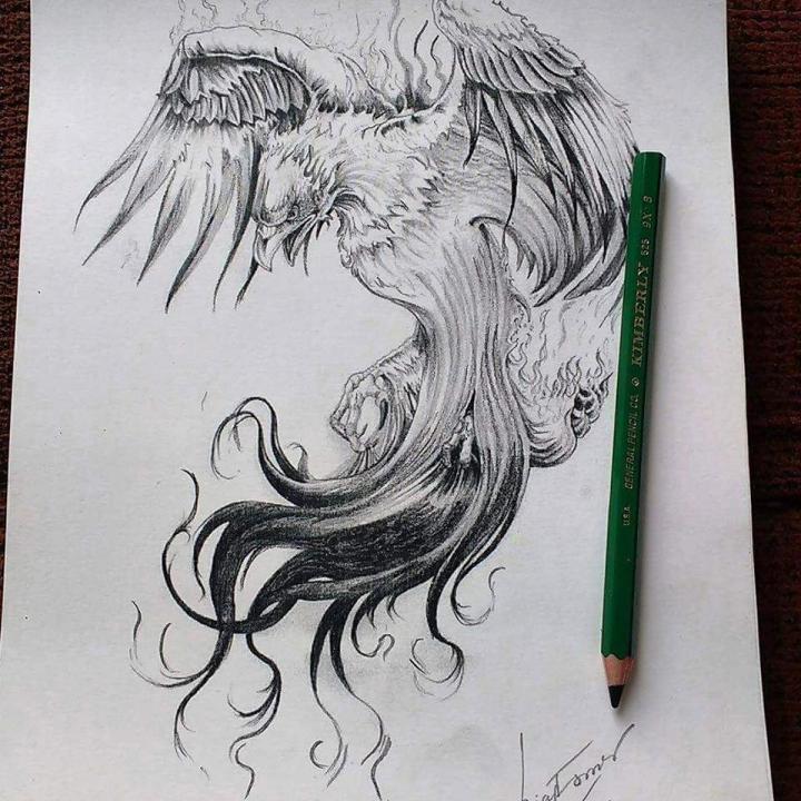 sketch_phoenix_2016.jpg