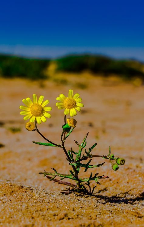 9452cfe006845e68e2bf21f0dd53f13c